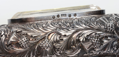 Fine Scottish hallmarked silver mounted dress powder horn, Edinburgh 1842 - 6