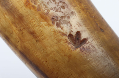 Gunner&rsquo;s cow horn powder horn - 6