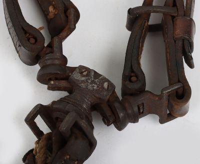 Leather leash for a pair of greyhounds - 3