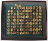 Framed Display of British Officers Tunic Buttons