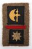 WW2 British 1st East Surrey Regiment 11th Brigade 78th Infantry Division Battle Dress Combination Insignia