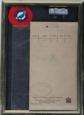 Scarce Royal Air Force Pigeon Service Grouping of Ephemera - 3