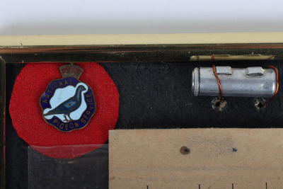 Scarce Royal Air Force Pigeon Service Grouping of Ephemera - 4