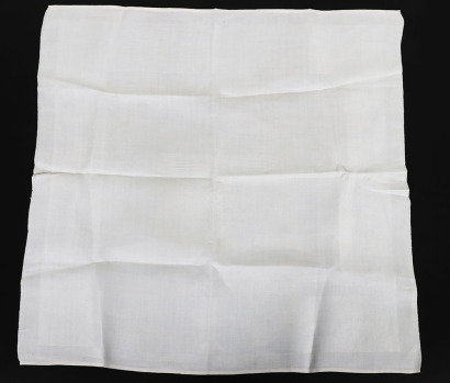 Third Reich Deutsche Reichsbahn Informal Linen Napkin from Hermann Goring First Dining Wagon 241