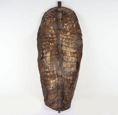 African Crocodile Skin Shield of Lenticular Form