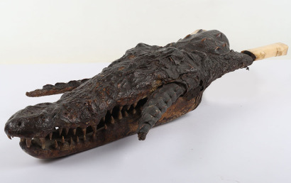 ^ Sudanese Trousse made from the Head of a Nile Crocodile Retaining its Teeth