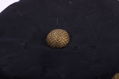 British Staff Officers 1880 Pattern Forage Cap - 4
