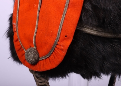 Victorian Officers Full Dress Busby of Prince Alberts Own Leicestershire Yeomanry - 6