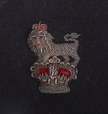 Victorian British Indian Medical Service Torin Cap - 2