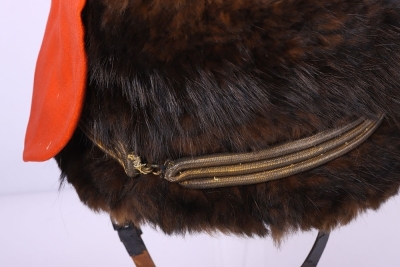 Impressive Victorian Full-dress tunic to a Colonel of the Royal Horse Artillery with Busby and Sabretache - 5