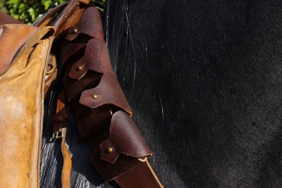A Complete WW1 Period Horse Mannequin with Associated Saddlery - 2