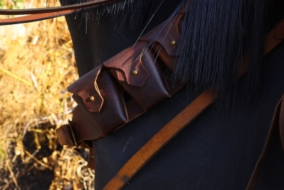 A Complete WW1 Period Horse Mannequin with Associated Saddlery - 3