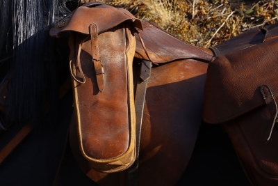 A Complete WW1 Period Horse Mannequin with Associated Saddlery - 4