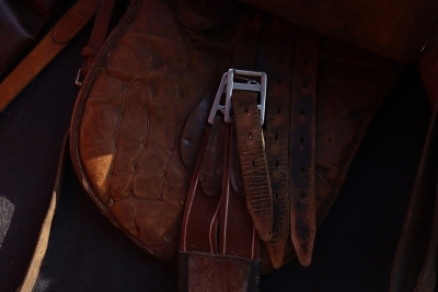 A Complete WW1 Period Horse Mannequin with Associated Saddlery - 9