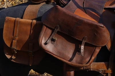 A Complete WW1 Period Horse Mannequin with Associated Saddlery - 11