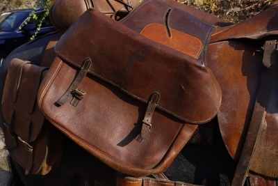 A Complete WW1 Period Horse Mannequin with Associated Saddlery - 15