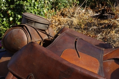 A Complete WW1 Period Horse Mannequin with Associated Saddlery - 17