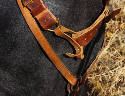 A Complete WW1 Period Horse Mannequin with Associated Saddlery - 20