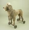 Large Steiff Poodle dog on metal wheels, German circa 1911,