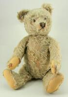 Steiff Original Teddy bear, German 1950s,