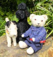 Two Steiff toy dogs and a Hermann Teddy bear, 1950s,