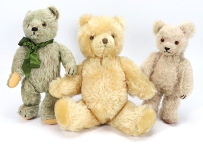 Three various Teddy bears