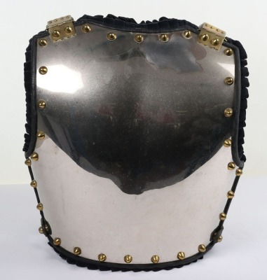 Life Guards Officers Cuirass - 6