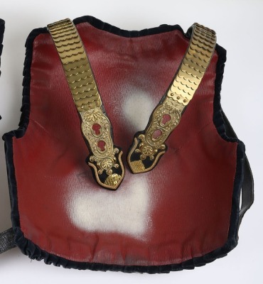 Life Guards Officers Cuirass - 14