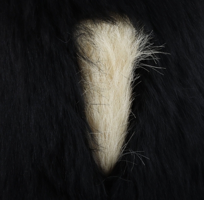 Grenadier Guards Officers Bearskin - 4