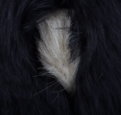 Grenadier Guards Officers or Senior NCO&rsquo;s Bearskin - 4