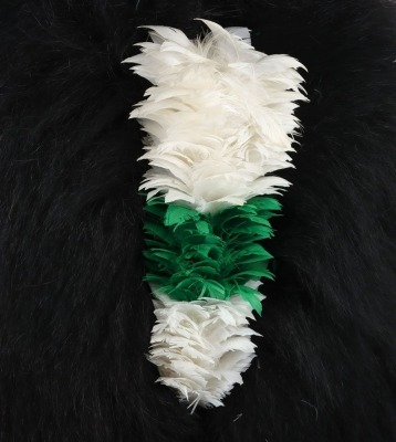 Welsh Guards Officers Bearskin - 4