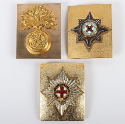 3 Modern Guards Colour Belt plates