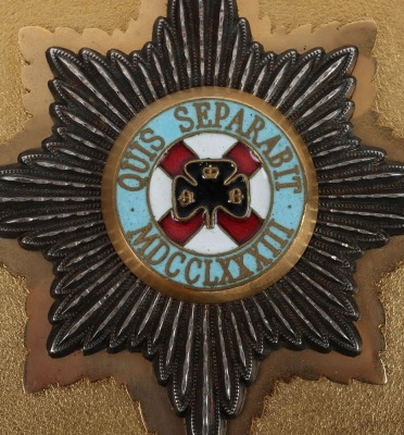 3 Modern Guards Colour Belt plates - 4