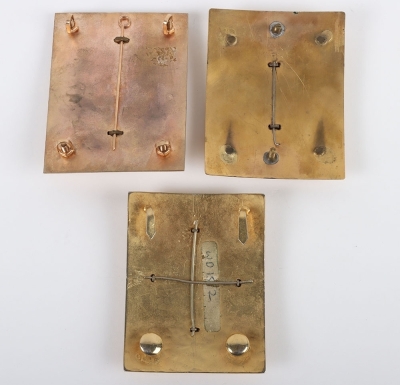 3 Modern Guards Colour Belt plates - 5