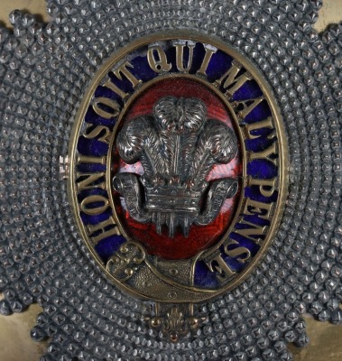 3rd (Prince of Wales Own) Dragoon Guards Officers 1871 Pattern Full Dress Helmet - 3