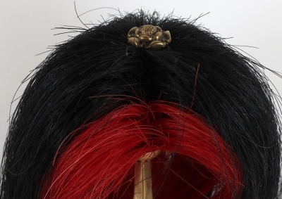 3rd (Prince of Wales Own) Dragoon Guards Officers 1871 Pattern Full Dress Helmet - 11