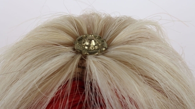 5th Princess Charlottes Dragoon Guards Officers 1871 Pattern Full Dress Helmet - 6