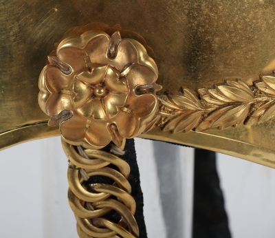 6th Dragoons Guards Carabineers 1871 Pattern Officer Helmet - 10