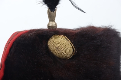 10th Hussars Officers Busby - 2