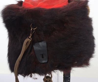 10th Hussars Officers Busby - 6