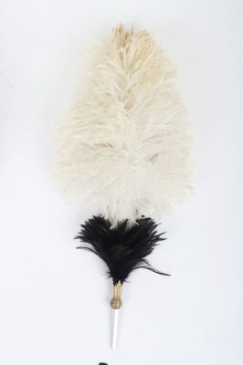 10th Hussars Officers Busby - 8