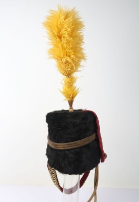 20th Hussars Officers Busby - 3