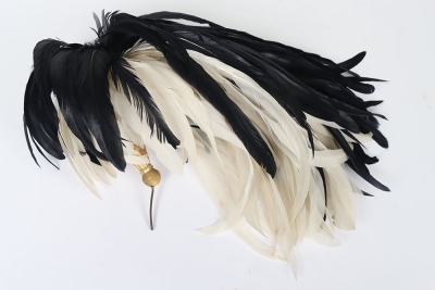9th Queens Royal Lancers Officers Lance Cap. - 9