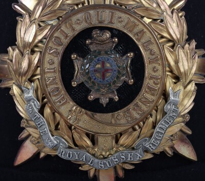Royal Sussex Regiment Officers Home Service Helmet - 3