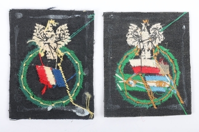 WW2 Polish Air Force Volunteers from France Cloth Formation Sign, embroidered blue / grey rectangle with white Polish eagle and within a wreath is the French national flag. Insignia is in very good condition. Accompanied by similar insignia for Polish vol - 2