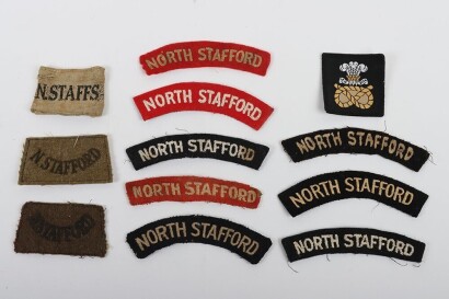 Grouping of North Staffordshire Regiment Insignia