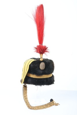 Purvis Collection - Full Uniform of Captain of the 4th Hussars - 17