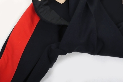 Royal Horse Guards Full Dress Trousers. - 5