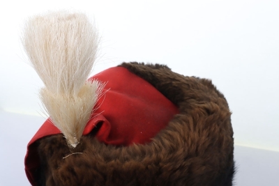 Royal Horse Artillery fur busby - 5
