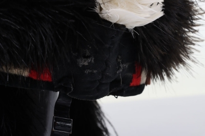 Highlanders ostrich feather bonnet - 4
